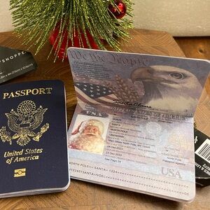 Santa passport ornament